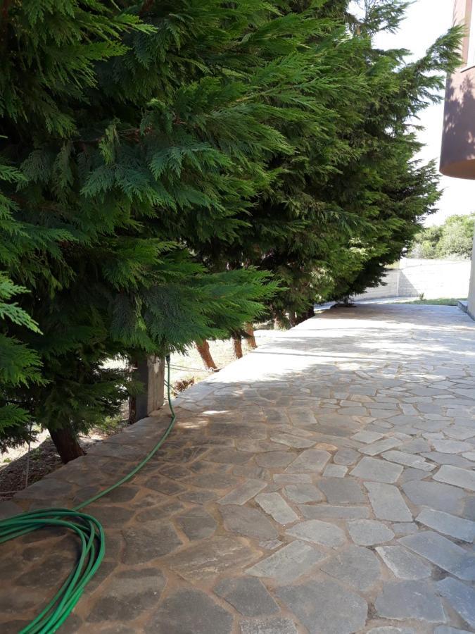 Apartment Ithakis Nea Iraklitsa ภายนอก รูปภาพ